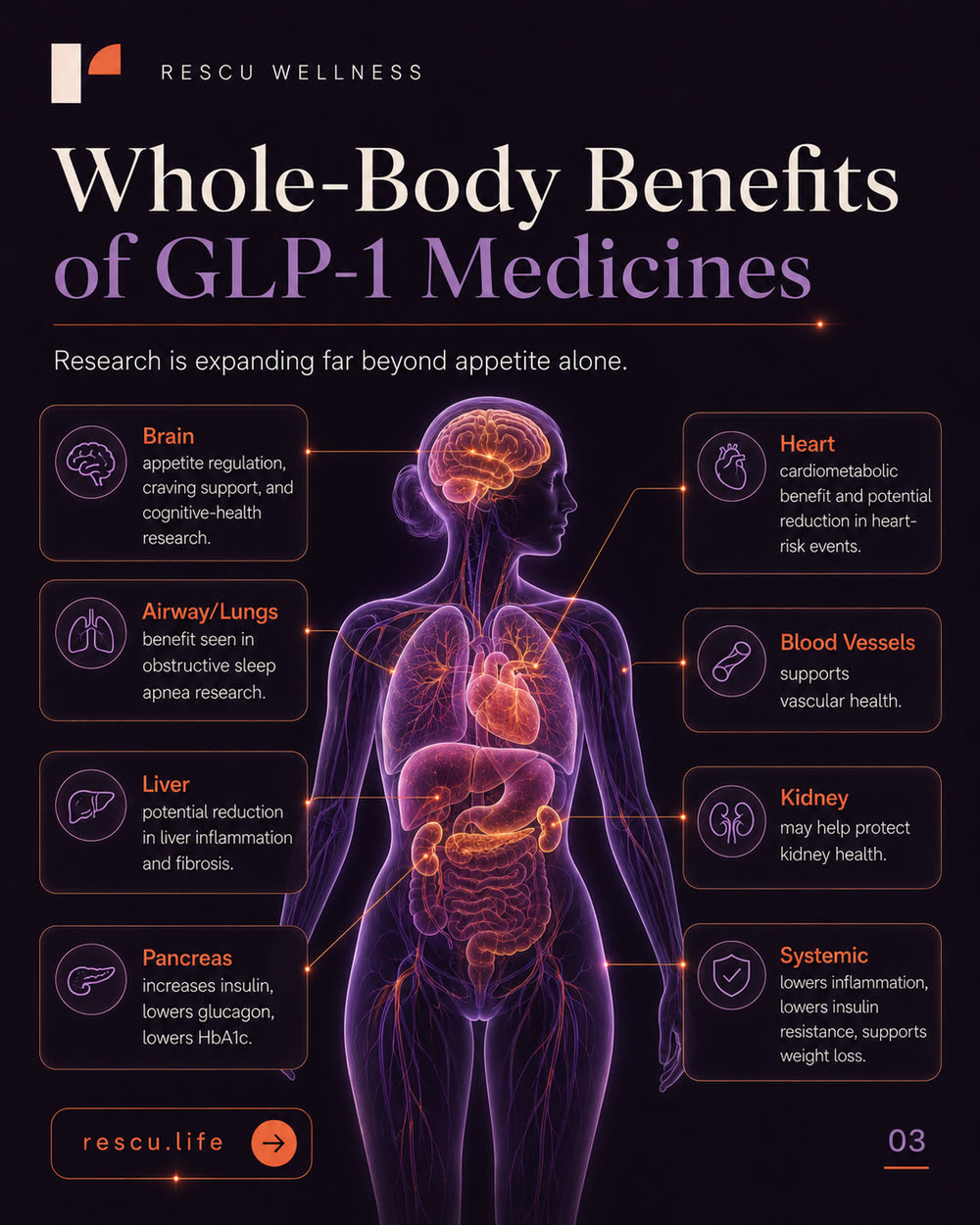 Whole-body benefits of GLP-1 medicines across brain, heart, liver, kidney and more